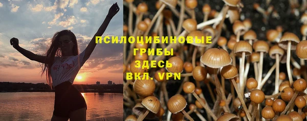 ПСИЛОЦИБИНОВЫЕ ГРИБЫ Аркадак
